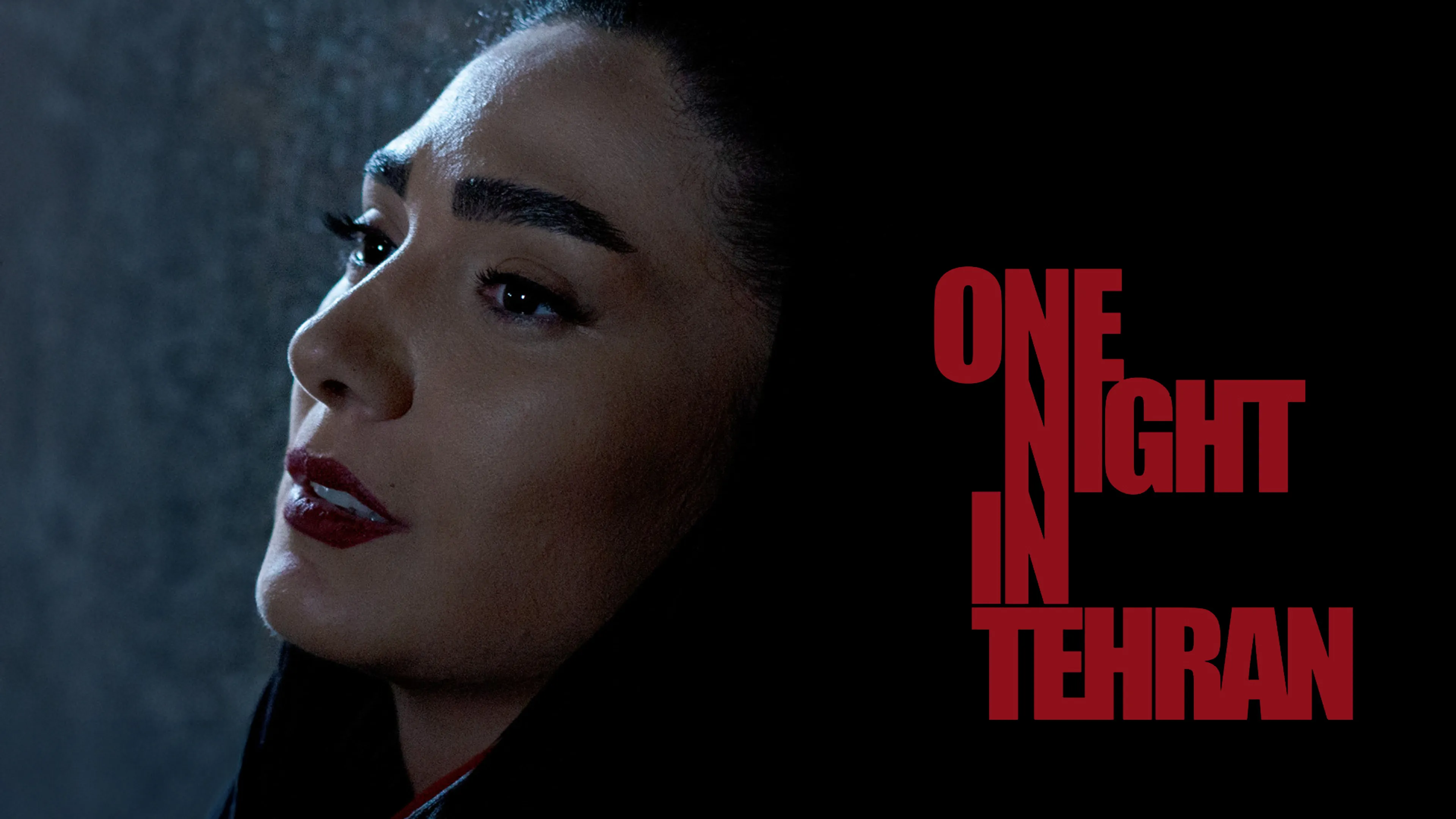 One Night in Tehran poster